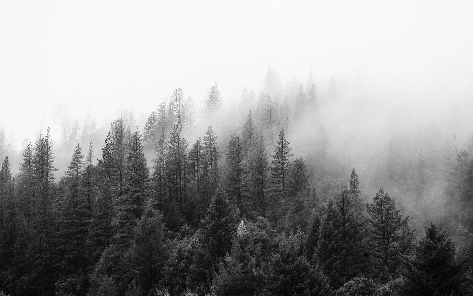 Placeholder image — replace