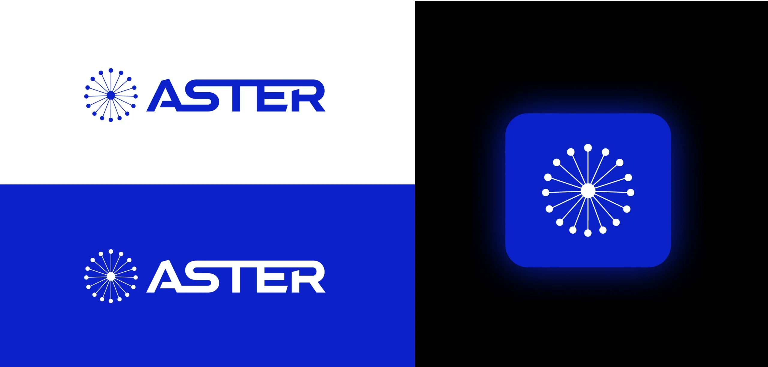 Aster logo lockups on white and blue with app icon